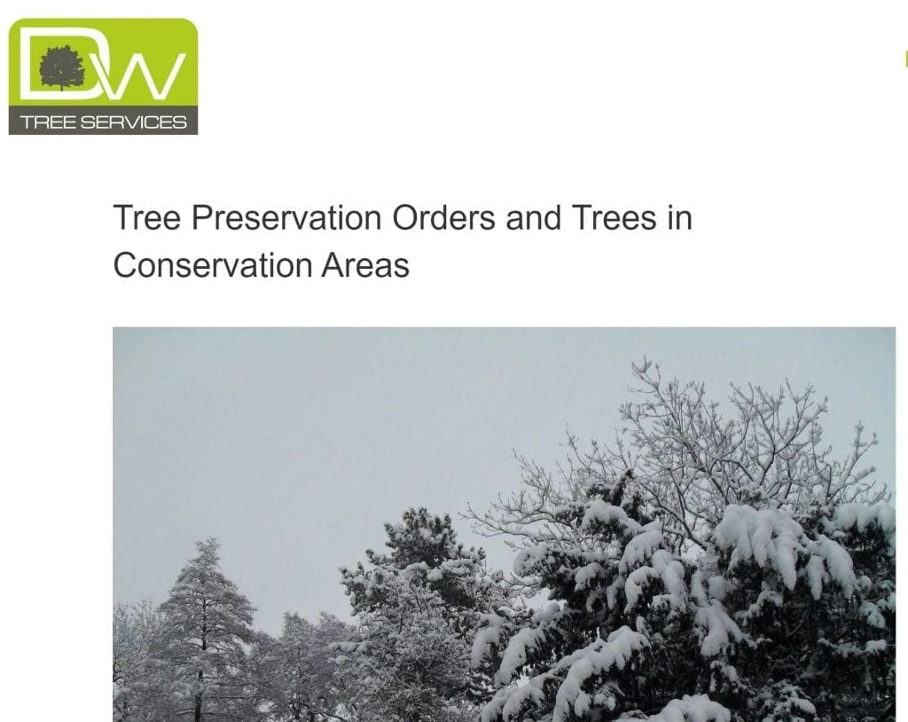 Image of blog snippet